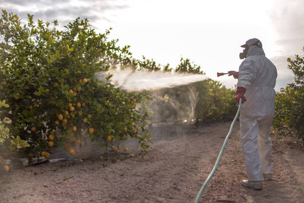 Pest Control Cost in Brush, CO